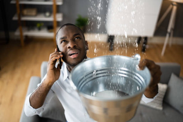 Best Water damage restoration near me  in Mayfair, CA
