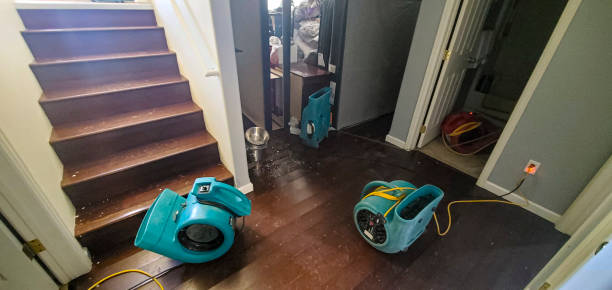 Best Water damage restoration cost  in Mayfair, CA