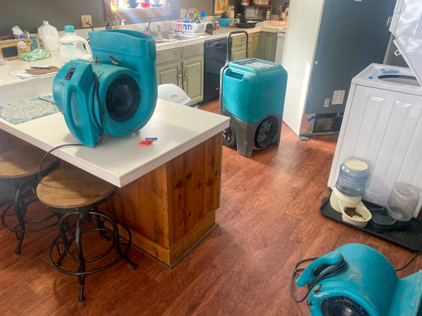 Best 24-hour water damage restoration  in Mayfair, CA