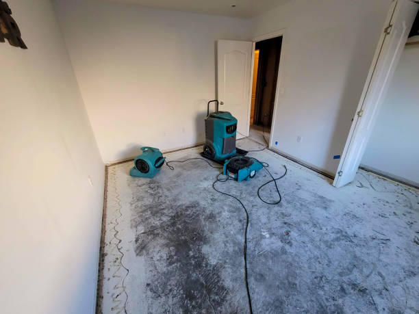 Best Professional water damage repair  in Mayfair, CA