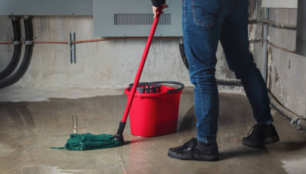 Mayfair, CA Water damage restoration Pros