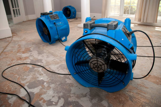 Best Water damage restoration near me  in Mayfair, CA