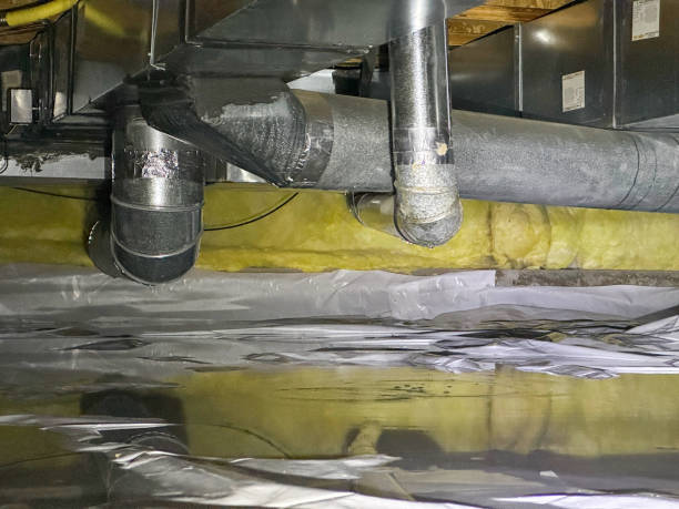 Best Flood damage cleanup  in Mayfair, CA