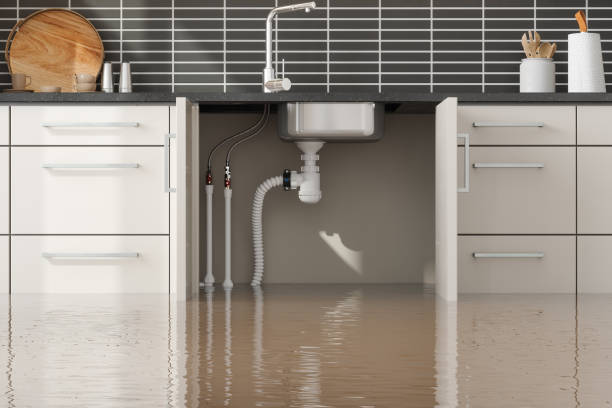 Best Local water damage restoration  in Mayfair, CA