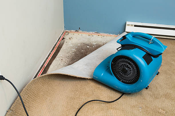Best Commercial water damage restoration  in Mayfair, CA